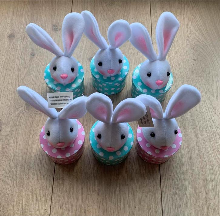 6 stuks Ronde Witte Haas Cadeau Doosjes NIEUW & ONGEBRUIKT, Diversen, Pasen, Nieuw, Ophalen of Verzenden