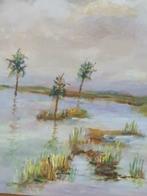 schilderij Wim v Schadewijk water landschap, Antiek en Kunst, Kunst | Schilderijen | Klassiek, Ophalen