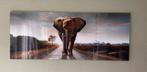 Glazen schilderij - Olifant op weg, Ophalen, Zo goed als nieuw