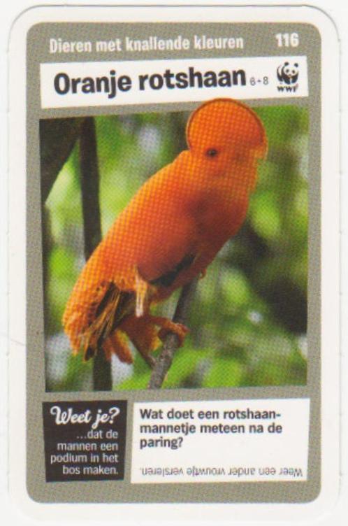 Super dieren no.116 Oranje rotshaan [2745]  [VeOvSu], Verzamelen, Supermarktacties, Albert Heijn, Ophalen of Verzenden