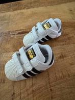 Adidas Superstar Baby Schoenen Maat 18, Adidas, Schoentjes, Jongetje of Meisje, Ophalen of Verzenden