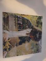 Ryley Walker - Primrose Green Vinyl, Ophalen of Verzenden, Zo goed als nieuw, 12 inch