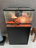 Bleu Lagoon 3D rock terrarium 60 x 40 x 40, Dieren en Toebehoren, Reptielen en Amfibieën | Toebehoren, Ophalen, Zo goed als nieuw