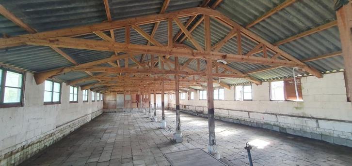 Houten spanten, 10 meter overspanning, Doe-het-zelf en Verbouw, Hout en Planken, Gebruikt, Plank, Overige houtsoorten, 300 cm of meer