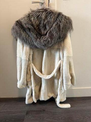 Bontjas nerts zilver vos beschikbaar voor biedingen