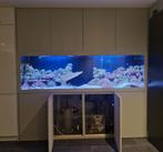 Prachtig zoutwater Aquarium, Dieren en Toebehoren, Vissen | Aquaria en Toebehoren, Ophalen of Verzenden, Zo goed als nieuw, Overige typen