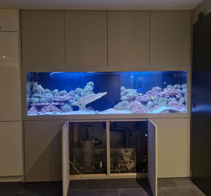 Prachtig zoutwater Aquarium, Dieren en Toebehoren, Vissen | Aquaria en Toebehoren, Zo goed als nieuw, Overige typen, Ophalen of Verzenden