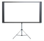 Projector Screen, Ophalen, Zo goed als nieuw