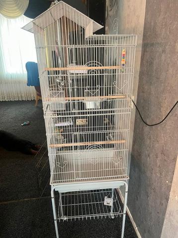 Vogelkooi. beschikbaar voor biedingen