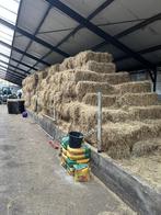 Hooi te koop, Dieren en Toebehoren, Dierenvoeding, Ophalen of Verzenden, Vee