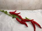 Decoratieve Streng Rode Pepers (3), Ophalen of Verzenden