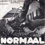 Normaal, Cd's en Dvd's, Ophalen of Verzenden, Gebruikt, Overige formaten, Rock