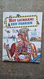 Het lichaam: een fabriek – Dan Green, Ophalen of Verzenden, Zo goed als nieuw, Opvoeding vanaf 10 jaar