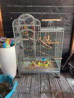 Vogelkooi 106x65x163 cm, Dieren en Toebehoren, Vogels | Hokken en Kooien, Ophalen, Zo goed als nieuw, Metaal, Vogelkooi