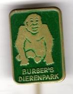 Speldje BURGERS DIERENPARK AAP ARNHEM GROEN (A5), Verzamelen, Speldjes, Pins en Buttons, Verzenden, Gebruikt, Overige onderwerpen