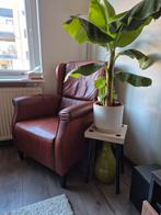 Prachtige  Leerstoel, Ophalen of Verzenden, Zo goed als nieuw, 75 tot 100 cm, Minder dan 150 cm