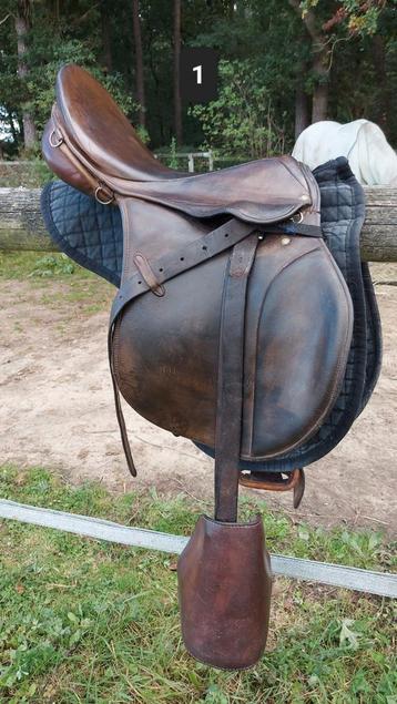 Meerdere zadels beschikbaar voor biedingen