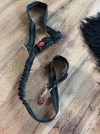 Auto Hondengordel, Dieren en Toebehoren, Ophalen