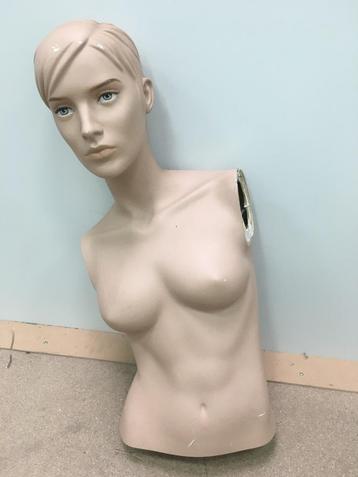 Etalagepop torso vrouw beschikbaar voor biedingen