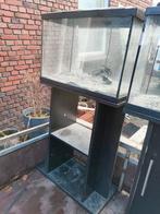 Aquarium 60cm, Dieren en Toebehoren, Ophalen, Leeg aquarium