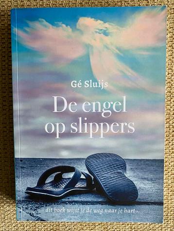 Gé Sluijs - De engel op slippers beschikbaar voor biedingen