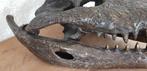 Brons / SCHEDEL van een KROKODIL / nieuw!!, Dierenbeeld, Nieuw, Info@huisentuindecoratiemarie.nl, Huis en tuin decoratie marie
