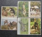 Esso stickers dierenplaatjes Wereld Natuurfonds album plaatj, Gebruikt, Ophalen of Verzenden, Meerdere stickers