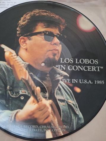 Los Lobos: In concert 1985 lp picture disc beschikbaar voor biedingen