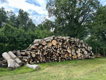 Essen Haardhout - Stammen beschikbaar voor biedingen