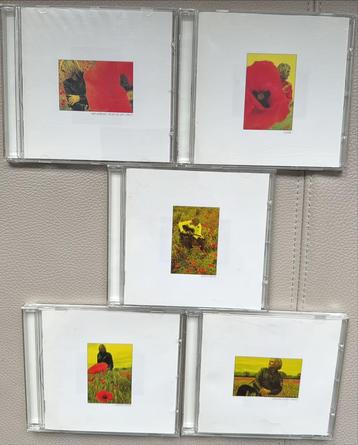 The Alarm, MIKE PETERS, In the Poppy Fields,5 cd’s, zeldzaam beschikbaar voor biedingen