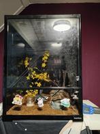 Terrarium, Dieren en Toebehoren, Ophalen, Zo goed als nieuw, Terrarium of Paludarium