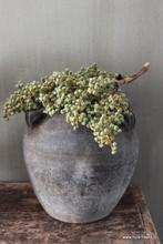 Prachtige verse dadeltakken, Huis en Inrichting, Ophalen of Verzenden, Nieuw