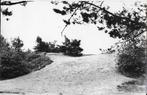 oude ansichtkaart zweelo heuvel in de mepper dennen 1410, Ophalen of Verzenden, 1920 tot 1940, Gelopen, Noord-Brabant