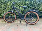 Radpower Radrhino 5 Fatbike incl extra’s, Ophalen, Zo goed als nieuw, 50 km per accu of meer, Overige merken