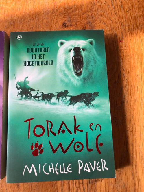 Michelle Paver - Avonturen in het hoge noorden, Boeken, Kinderboeken | Jeugd | 10 tot 12 jaar, Zo goed als nieuw, Ophalen of Verzenden