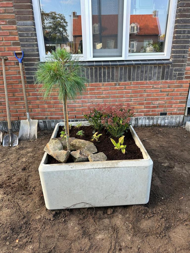Plant / bloem bakken, Ophalen, Vierkant, Nieuw, 60 tot 100 cm