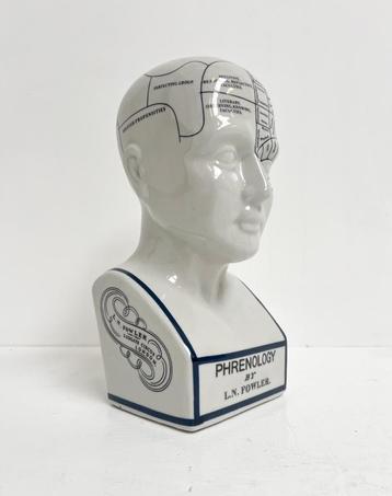 Keramieken 30 cm hoge Phrenology hoofd, 1990’s beschikbaar voor biedingen