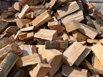 Brandhout Kachelhout vers eiken/rode eik of beuken vanaf 80€ beschikbaar voor biedingen