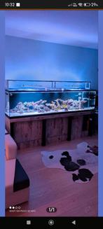 Zeeaquarium 250cm x 60 x65cm, Dieren en Toebehoren, Vissen | Aquariumvissen, Overige typen