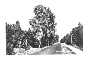 978356 Putten Voorthuizerstraat 1959 Gelopen met postzegel beschikbaar voor biedingen