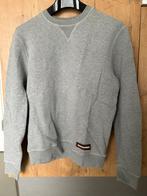 Dsquared2 sweater grijs maat S, Maat 46 (S) of kleiner, Grijs, Dsquared2, Ophalen of Verzenden