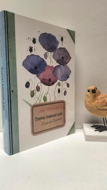Verweerd, Joke; Toeval bestaat niet (Pluk de dagboek) beschikbaar voor biedingen