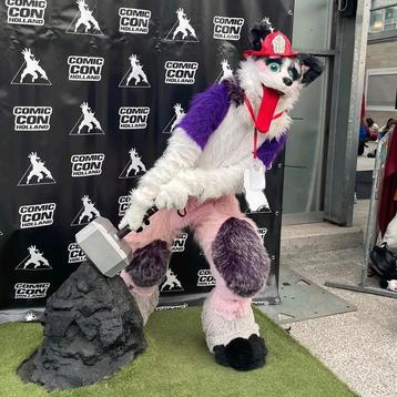 Fursuit Body, Staart & Feetpaws  beschikbaar voor biedingen