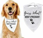 Baby Security honden bandana, Versiering, Nieuw, Ophalen of Verzenden, Info@sweet-one.nl
