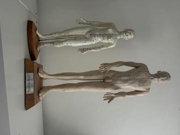 2x acupunctuur pop man & vrouw beschikbaar voor biedingen