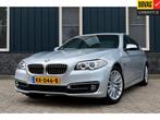 BMW 5 Serie 520i Luxury Edition Rijklaarprijs-Garantie Leder, Auto's, BMW, Te koop, Zilver of Grijs, Benzine, Gebruikt
