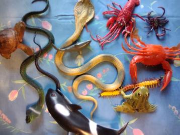 Verzameling dieren figuren (meest Blijdorp shop) beschikbaar voor biedingen