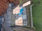 Knaagdier kooi, Dieren en Toebehoren, Kooi, Gebruikt, Minder dan 75 cm, Hamster