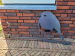 XXL Metalbird roodborstje (grote versie), Ophalen of Verzenden, Zo goed als nieuw, Metaal, Dierenbeeld