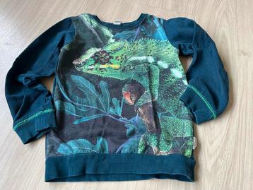 Wild sweater maat 116 beschikbaar voor biedingen